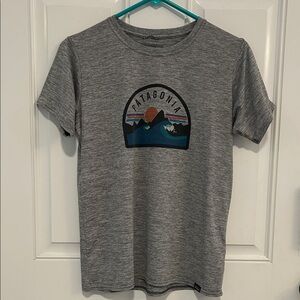 Patagonia Heather Gray Capilene Tee with Mountain Graphic. Size S